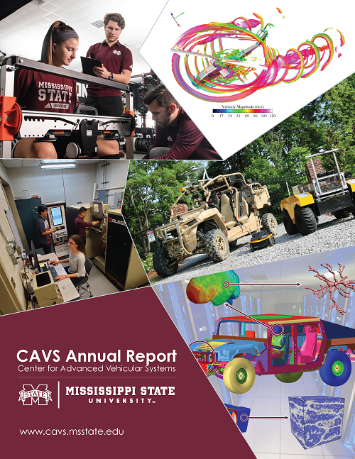 CAVS annual report cover