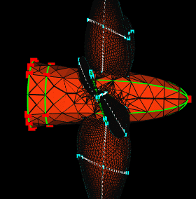 minnow_space13