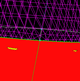 minnow_space18